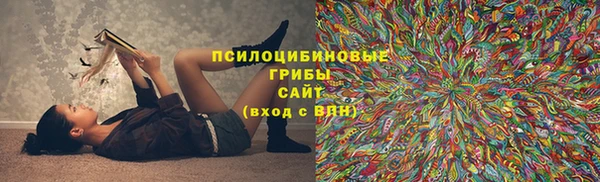 прущая мука Осинники