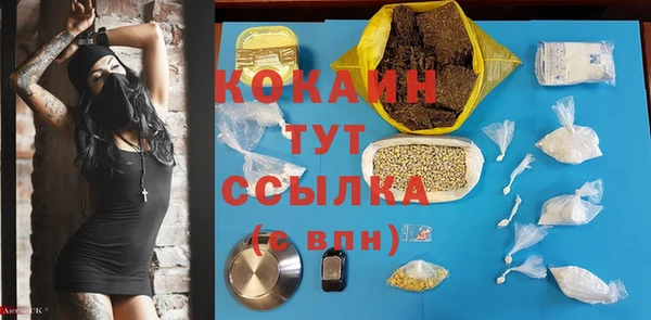 спиды Няндома