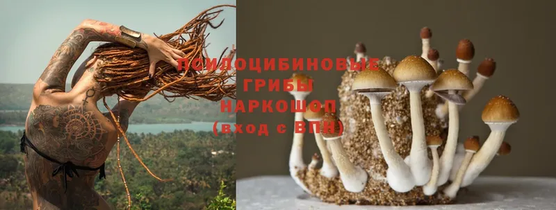 наркошоп  мориарти формула  Галлюциногенные грибы MAGIC MUSHROOMS  Кореновск 