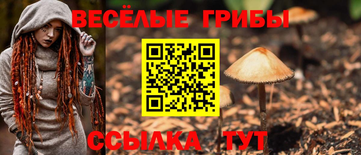 Псилоцибиновые грибы прущие грибы  продажа наркотиков  Кореновск  Вход с VPN 